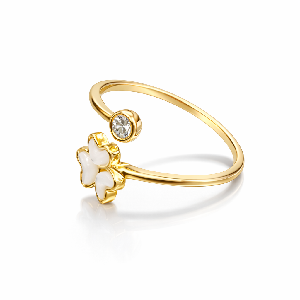 Silver ring for girlfriend